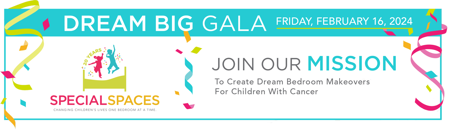 Special Spaces Wisconsin - Dream Big Gala 2024