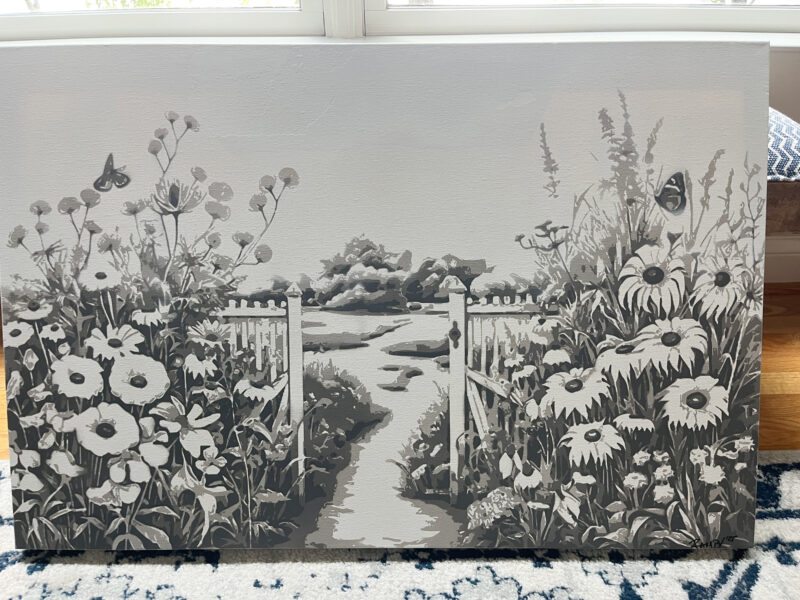 Chattanooga Auction Item - Black-n-White Ocoee