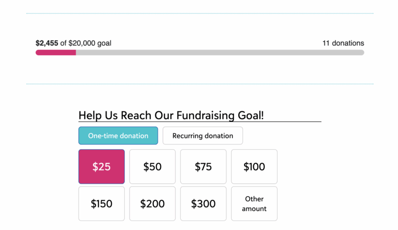 donation meter example